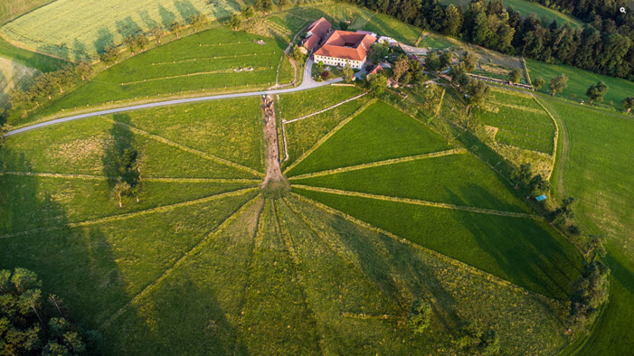 Agroforst und Mutterkühe