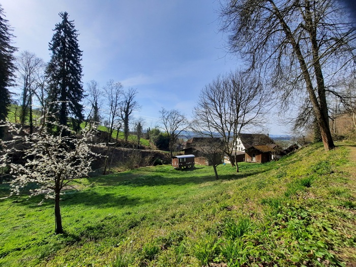 Mühle Geuensee