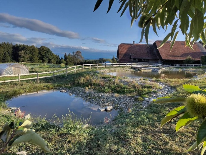 Speicherbecken Katzhof