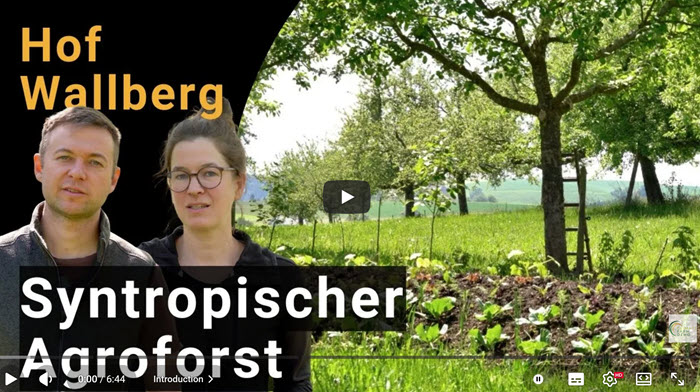 Syntropischer Agroforst auf dem Hof Wallberg