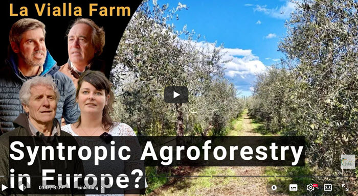 Syntropische Agroforstwirtschaft in Europa? | Erfahrungen von La Vialla in der Toskana