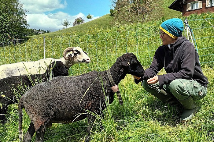 Schafe und Kathrin Lenz