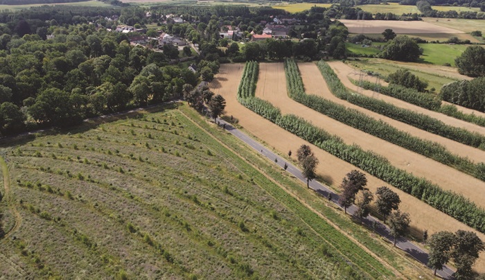 Agroforstsysteme