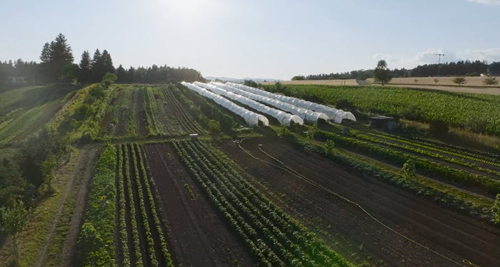 Biogarten Lieli