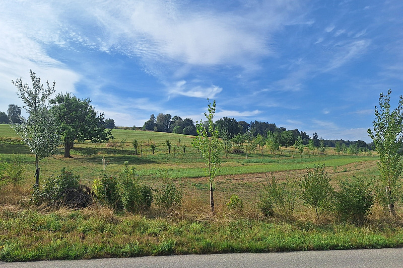 Gerbehof Agroforst