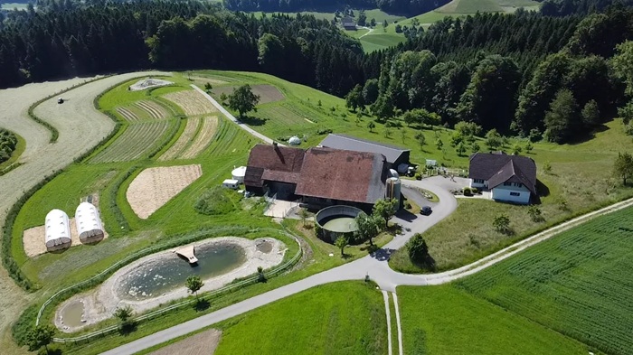 Katzhof