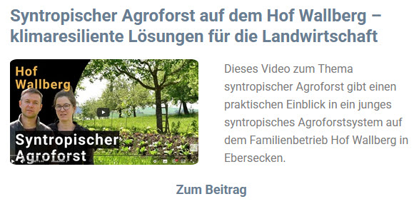Newsletter Oktober 2026